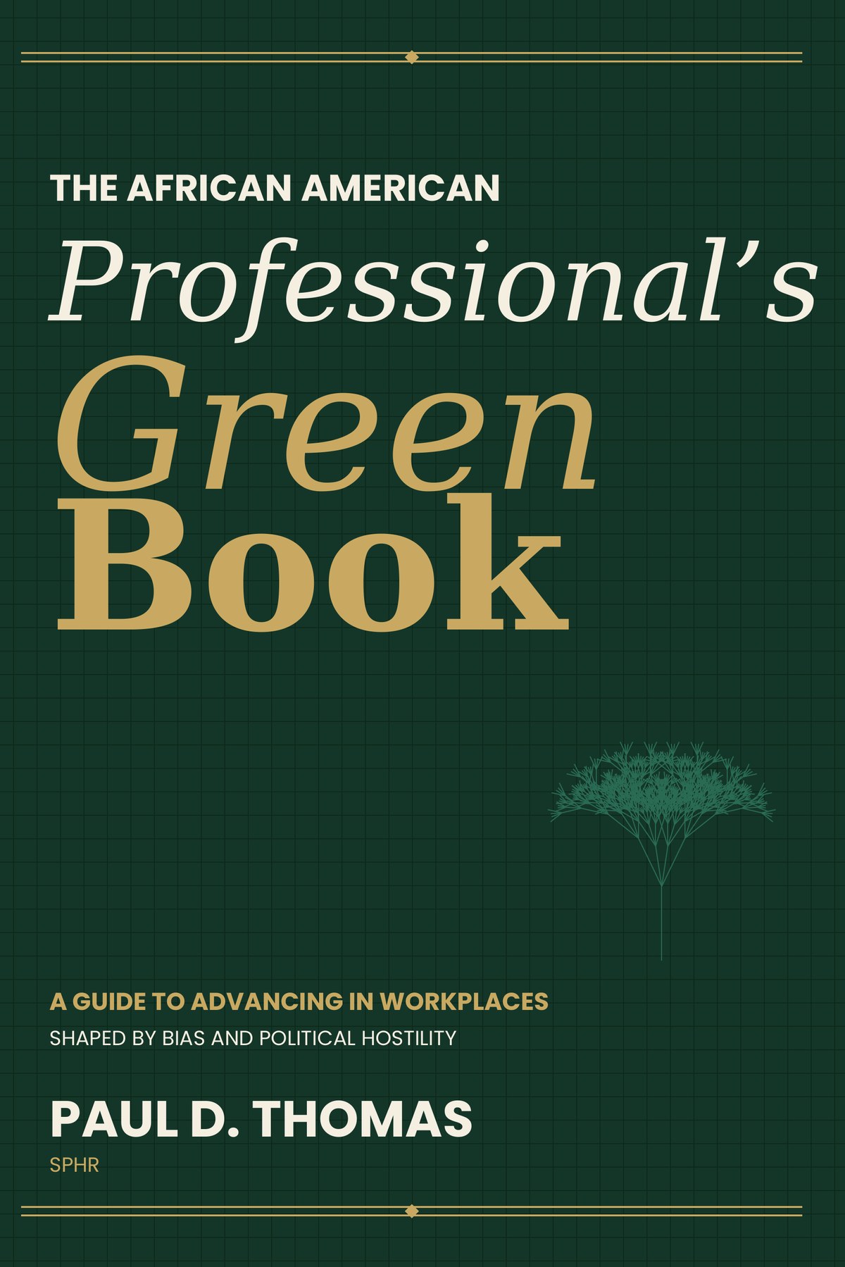 The African American Professional's Green Book — cover